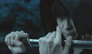 爱情鸟如何区分公母 深圳爱情鸟酒店公寓