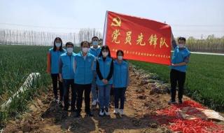 中建八局哪个分公司最有前途 中建八局青岛公司