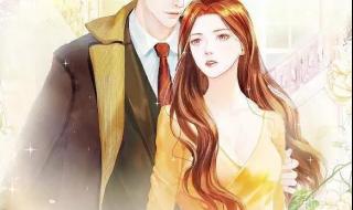 十大经典军旅小说言情 军婚一见钟情的小说