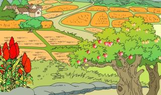 秋天的雨带给大地的是一首丰收的歌仿写怎么写 描写秋天丰收的句子