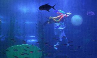 玉兔迎春吉祥语 玉兔新年祝福语大全