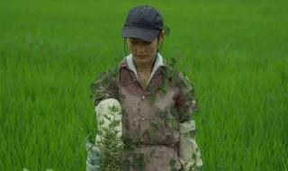 小森生活第一道料理