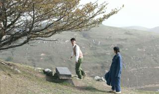 山楂树之恋主题曲