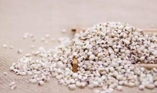 治疗湿气的中医馆