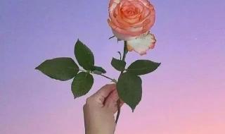 最近很火走心的句子