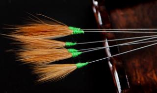 采耳大家有了解的吗去学采耳一个星期3000多块学费！做采耳师有前途吗 采耳师培训学费多少