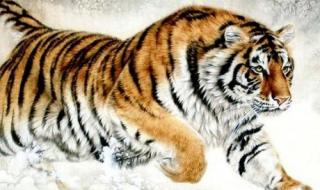 己全封口念什么 克己奉公指什么生肖