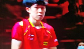 2021年乒乓球世界杯男子总决赛结果 2021乒乓球世界杯总决赛赛程