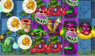 第40届摔跤狂热大赛赛程 2024年摔角狂热大赛几月几号