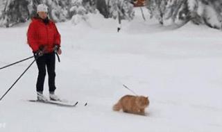 冬奥会是从哪年开始的 从哪一年开始冬奥夏奥交叉举